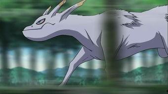 五尾穆王爆料视频大全集,揭秘神秘王者的传奇故事