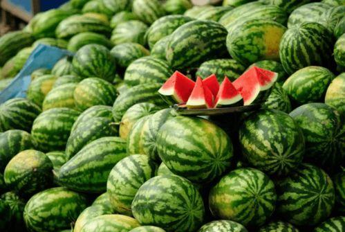 网红吃瓜是啥,揭秘网络红人的娱乐生活与粉丝互动